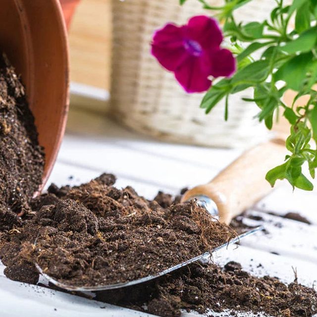 Potting mix spilling from a pot